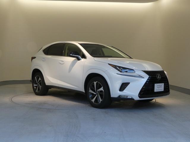 ＮＸ ＮＸ３００ブラックシークエンス　ブラインドスポットモニター　パーキングサポートアラート付き（44枚目）