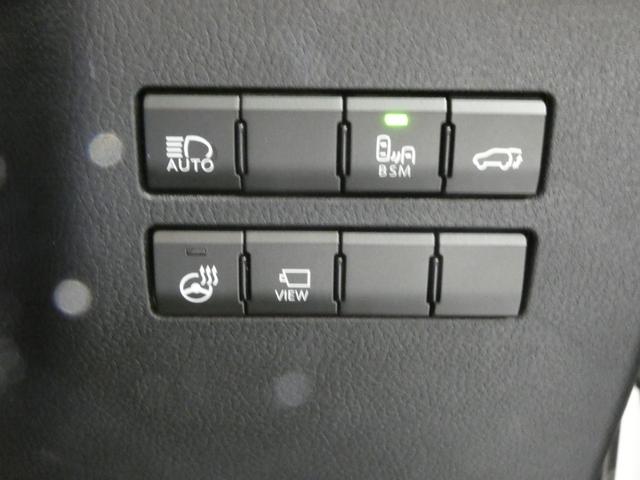 ＮＸ ＮＸ３００ブラックシークエンス　ブラインドスポットモニター　パーキングサポートアラート付き（47枚目）