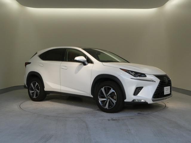 ＮＸ ＮＸ３００　Ｉパッケージ　パノラマルーフ・パーキングサポートブレーキ（静止物）・切削光輝ホイール（15枚目）