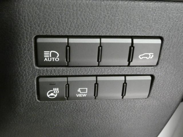 ＮＸ ＮＸ３００　Ｉパッケージ　パノラマルーフ・パーキングサポートブレーキ（静止物）・切削光輝ホイール（21枚目）