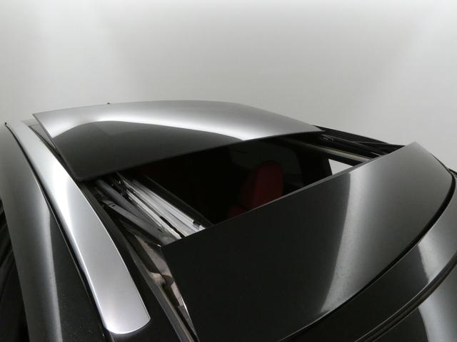 �y�p�m���}���[�t�z�O�Ȃ̃`���g�E�X���C�h���K���X���[�t�ɉ����Č�Ȃ܂ŃK���X���[�t���L�����Ă���ׁA�J�������ӂ�鎺����Ԃ����o�������܂��B