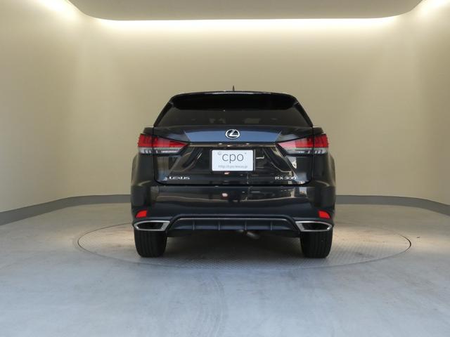 �ו��ɏh�鍂�����ƁA����l�̊����h���Ԃ閣�͂����N�T�X�Ԃɂ͂������܂��B