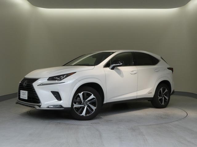 ＮＸ ＮＸ３００ｈ　スパイス＆シック　２年間距離無制限保証　パノラミックビューモニター　スペアタイア付き（13枚目）