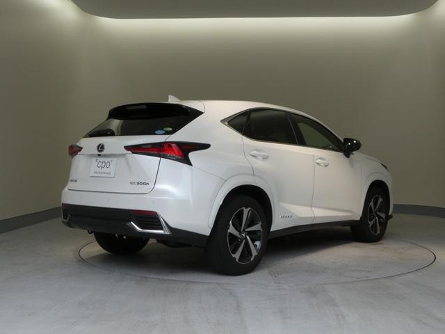 ＮＸ ＮＸ３００ｈ　スパイス＆シック　２年間距離無制限保証　パノラミックビューモニター　スペアタイア付き（17枚目）