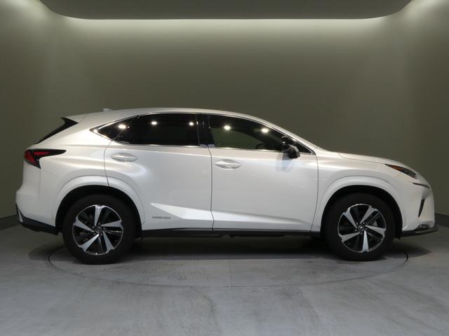 ＮＸ ＮＸ３００ｈ　スパイス＆シック　２年間距離無制限保証　パノラミックビューモニター　スペアタイア付き（18枚目）