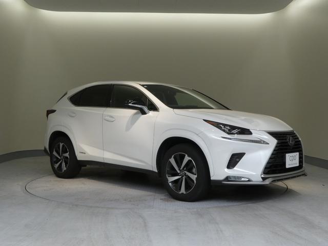 ＮＸ ＮＸ３００ｈ　スパイス＆シック　２年間距離無制限保証　パノラミックビューモニター　スペアタイア付き（19枚目）