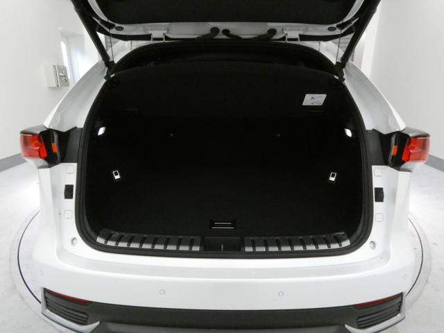 ＮＸ ＮＸ３００ｈ　スパイス＆シック　２年間距離無制限保証　パノラミックビューモニター　スペアタイア付き（23枚目）