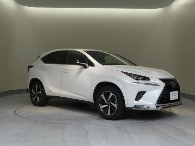 ＮＸ ＮＸ３００ｈ　スパイス＆シック　２年間距離無制限保証　パノラミックビューモニター　スペアタイア付き（40枚目）