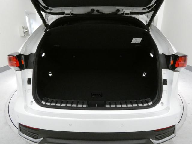 ＮＸ ＮＸ３００ｈ　スパイス＆シック　２年間距離無制限保証　パノラミックビューモニター　スペアタイア付き（41枚目）