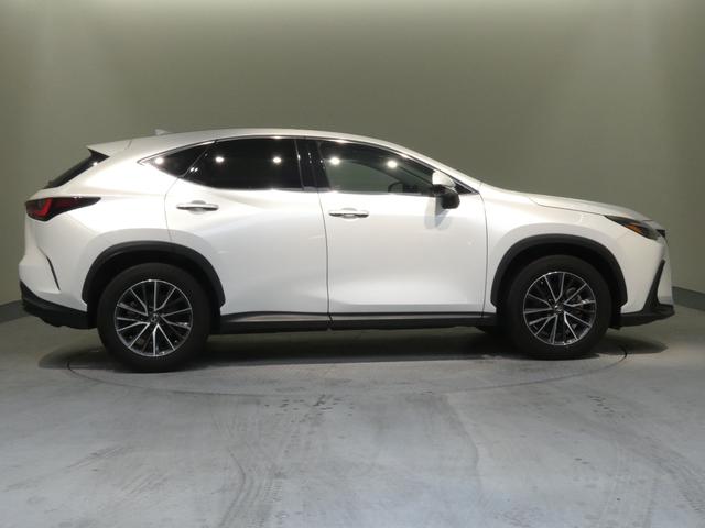 �w����̃A�t�^�[�����e�i���X���A���񓖓X�ɂĂ��C�����������B