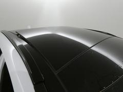 ڥѥΥޥ롼աʤΥȡ饤ɼ饹롼դ˲äƸʤޤǥ饹롼դäƤ١դ뼼֤Фޤ 2