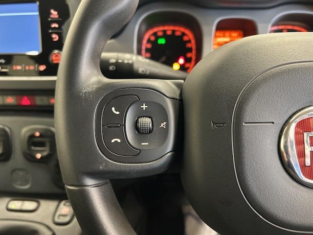 パンダ クロス　４×４　限定１００台フォレスタグリーン６ＭＴ、前席シートヒーター、ＬＥＤアディショナルリアゲート、ドライブモードセレクター、純正ＥＴＣ、純正ＦＲドラレコ、オートライト、フロントフォグランプ、レインセンサー（28枚目）