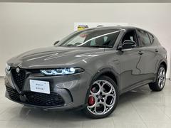 �ȥʡ��� �������������������ʣͣø�ˡ������ݾڷѾ�����󥪡��ʡ��������ƥ��󥰻ܹ��Ѥߡ��⳰���� 9210031A30251225W001 2