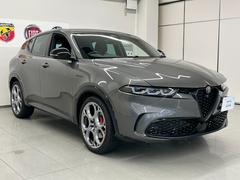 �ȥʡ��� �������������������ʣͣø�ˡ������ݾڷѾ�����󥪡��ʡ��������ƥ��󥰻ܹ��Ѥߡ��⳰���� 9210031A30251225W001 4