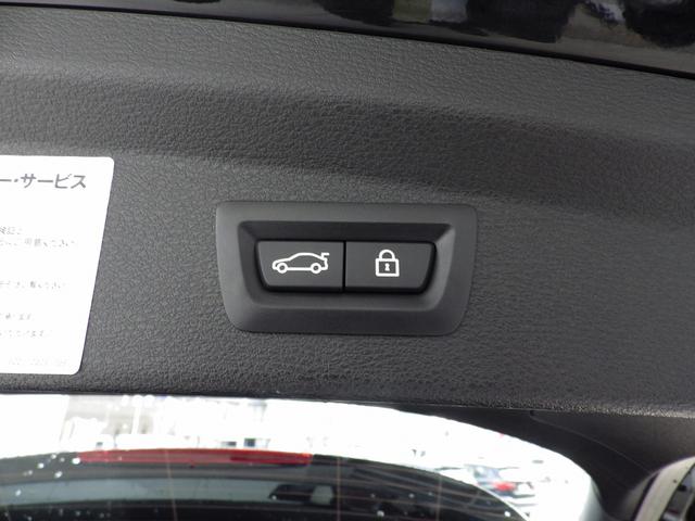 sDrive 18i MスポX ACC HUD Bカメ(19枚目)