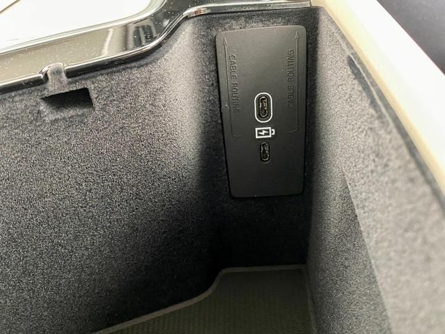 パワーテールゲート 29