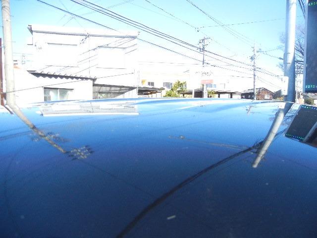 �V��̉摜�ł��B�傫�ȉ��݁A�F�������Ȃ��L���C�ł���I�@�@�@�@�@�@���m�@�厡�@�i���@�y�l�@�y�����ԁ@�����@���������@���Îԁ@�W�[�t���[�@�f�|�e�q�d�d