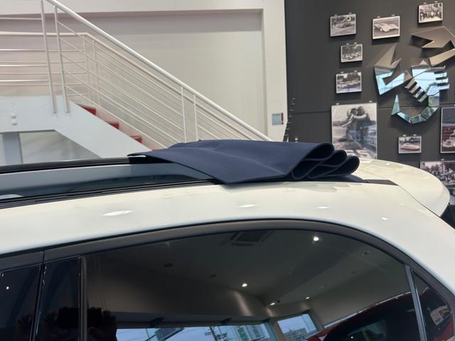 500X インフィニート 全国100台限定車/ソフトトップ/認定中古車保証/禁煙車/ドラレコ/ETC/バックカメラ(23枚目)