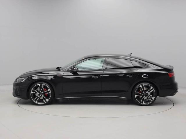 �_���s���O�R���g���[���X�|�[�c�T�X�y���V�����t��