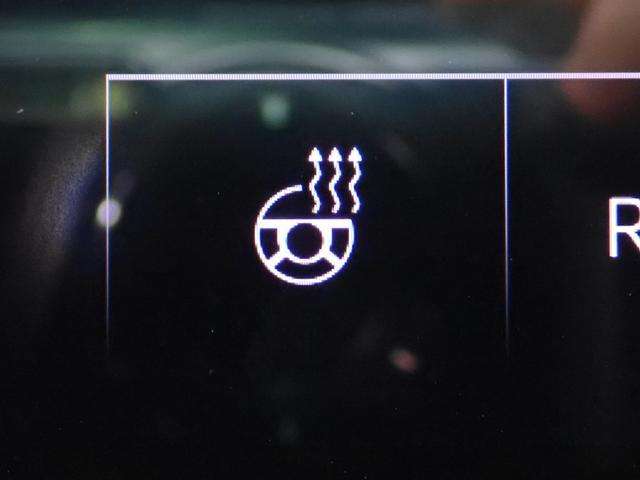 ＲＳ６アバント パフォーマンス ベースグレード　認定中古車・ワンオーナー・ＲＳスポーツエキゾーストシステム・デコラティブパネル　カーボン　ツイル・ブラックスタイリングパッケージ・カラードブレーキキャリパー　レッド・ＲＳ専用シート・シートヒーター（23枚目）