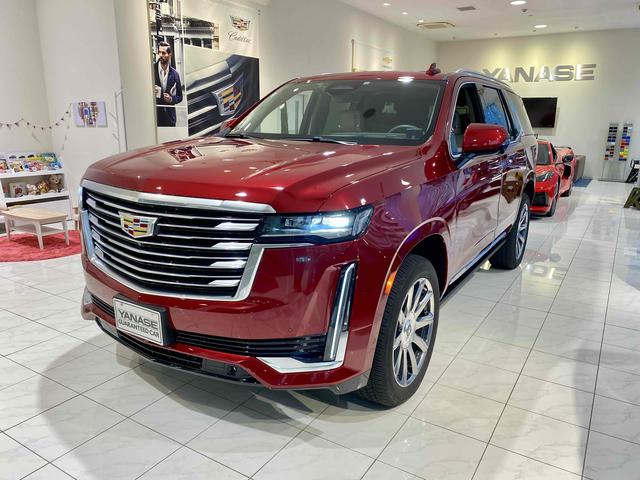 プラチナム　正規ディーラー車　希少カラー