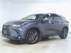 쥯ΣءΣأ衡С̡ȥҡȥ