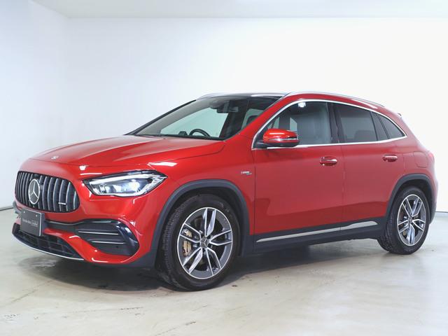 ֹգơݣ ǮŪʥѥ˥åɤȥѥʥꥫʥȴ 1