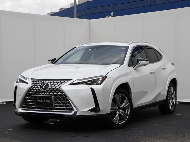 쥯 գ գأ衡쥤ե륨ץ顼ȥҡȥ