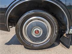 ����ʪ�δ����ʽ����ۥ����륭��åס����ˣ������������ң��� 3