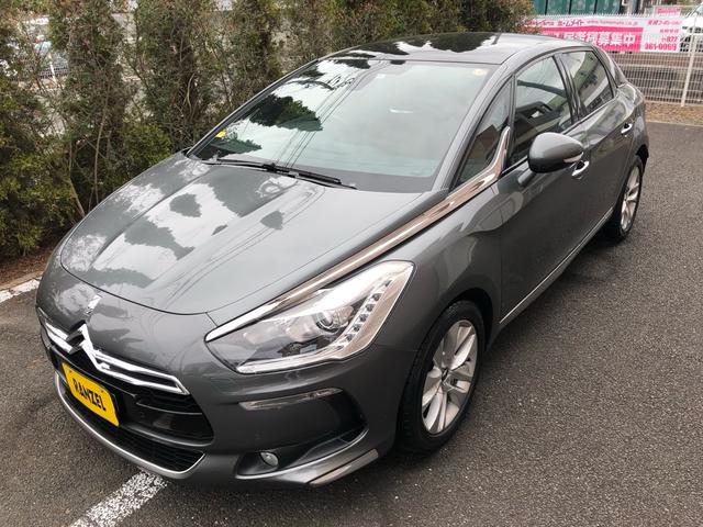 ＤＳ５ シック（63枚目）