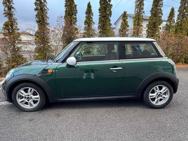 �[�Ԍ���C�����悭����蒸���܂��I�I