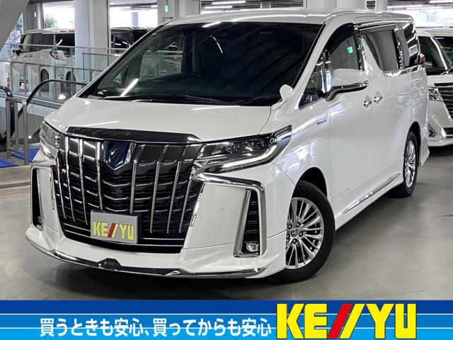 ȥ西 եɥϥ֥å ӣҡ󥪡ʡףġե륨