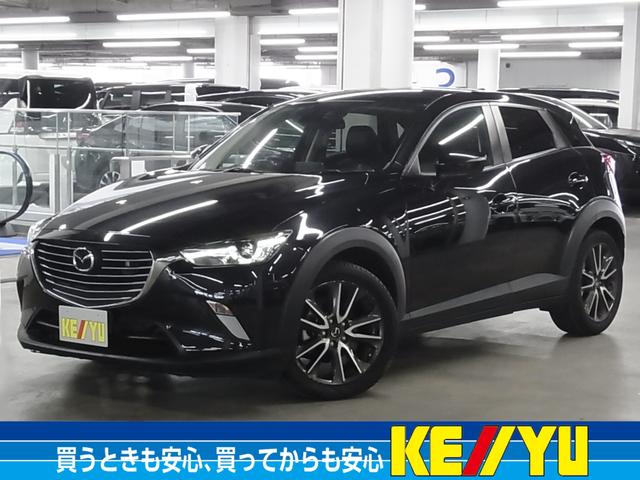 ＣＸ－３画像