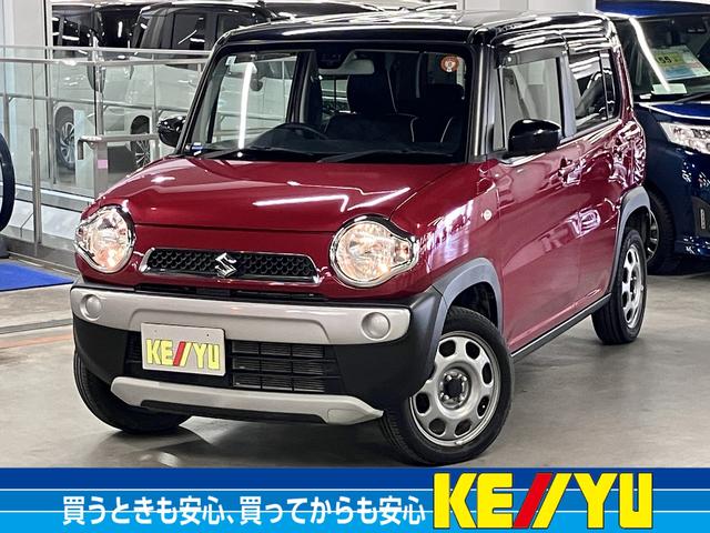  ϥ顼 ϥ֥åɣǡ졼֥졼ݡȡȥҡåĥꥢʥ