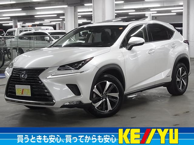 �m�w(���N�T�X) �m�w�R�O�O�@�o�[�W�����k�@���[�����[�t�@�p�m���~�b�N�r���[�@�a�r�l�E�q�b�s�`�@�g�t�c�@�{�v�V�[�g�@�x���`���[�V�����@�S�ȃV�[�g�E�X�e�A�q�[�^�[�@�Z�[�t�e�B�V�X�e���{�@�d�s�b�Q�D�O�@�p���[�o�b�N�h�A�@�P�O�D�R�^�i�r�@�O��k�d�c ���Îԉ摜