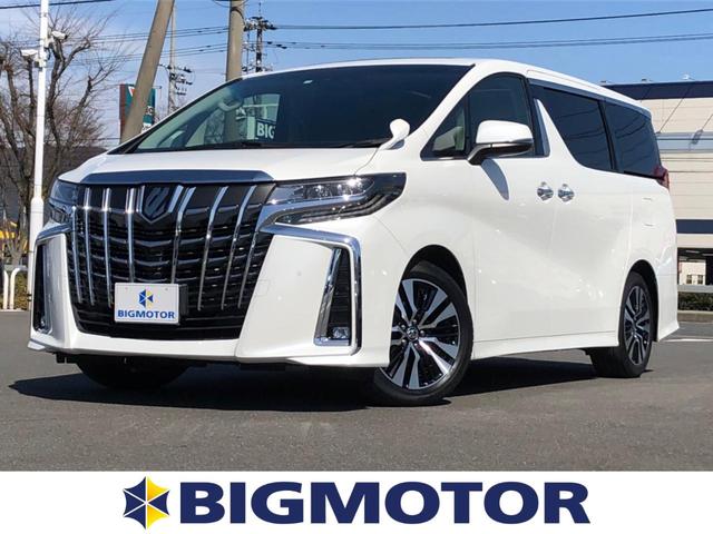 S Cパッケージ サンルーフ/社外 10インチ メモリーナビ/フリップダウンモニター 社外 12.8インチ/両側電動スライドドア/エアーシート 前席/シート 合皮/パーキングアシスト バックガイド バックカメラ ETC(1枚目)