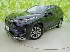 トヨタ　ＲＡＶ４　４ＷＤ　Ｇ　Ｚパッケージ　純正エアロ