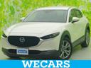 carPhoto