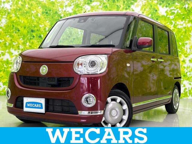 ϥ ࡼХ ǥᥤåףӣʥ䡡