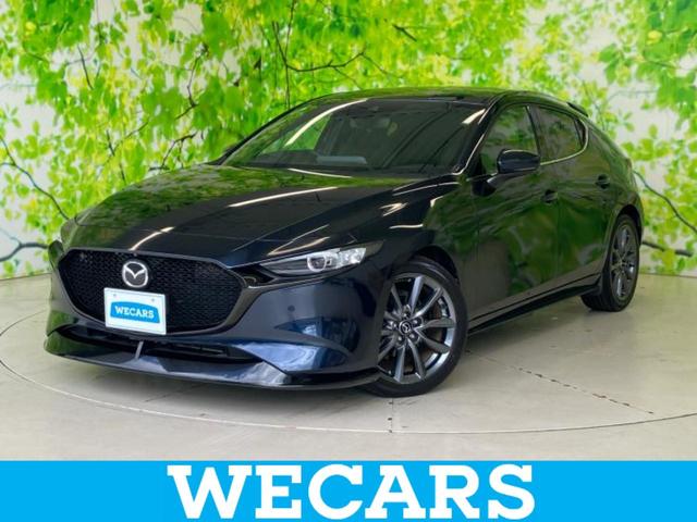 ףţãңӡʥˤ񣲣ŹŸ ȤԹ塢ξĺʤ礬ޤŹˤ礻 1