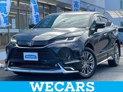 ȥ西ϥꥢϥ֥åɡڡʣ£̡ݾڽ