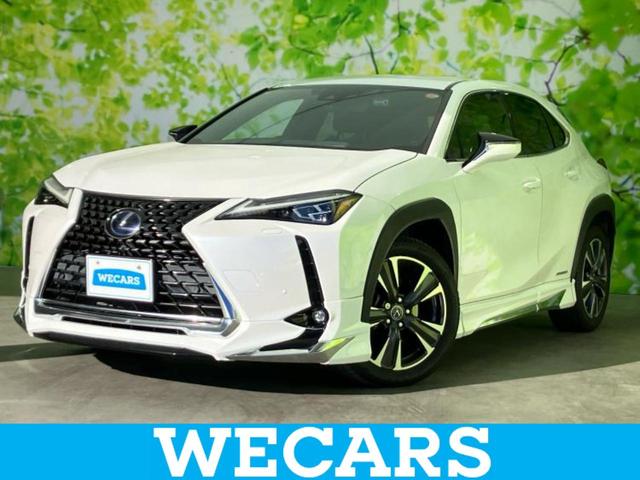 ףţãңӡʥˤ񣲣ŹŸ ȤԹ塢ξĺʤ礬ޤŹˤ礻 1