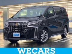 ȥ西եɡӥץɡʥ䡡ݾڽ񡡥ǥץ쥤ǥ