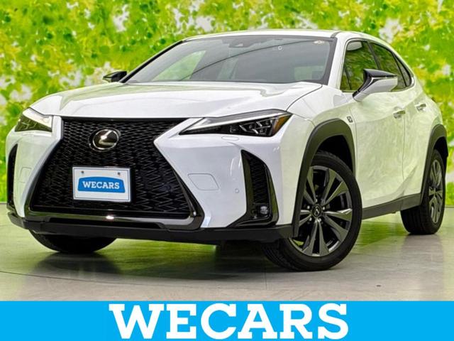 ףţãңӡʥˤ񣲣ŹŸ ȤԹ塢ξĺʤ礬ޤŹˤ礻 1