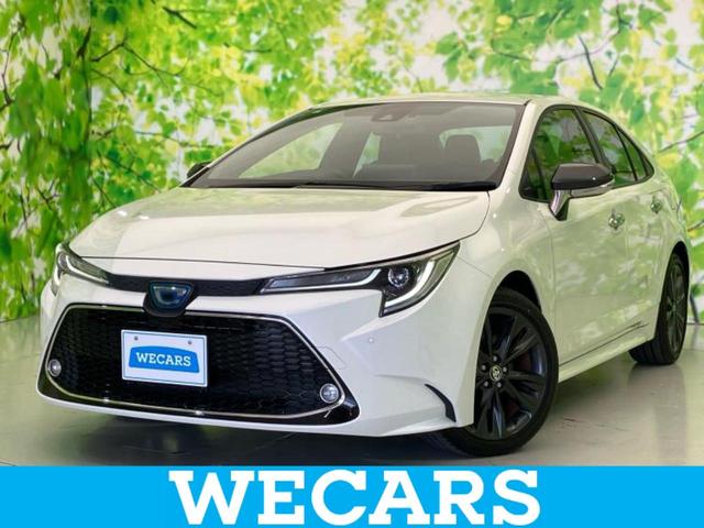 ףţãңӡʥˤ񣲣ŹŸ ȤԹ塢ξĺʤ礬ޤŹˤ礻 1