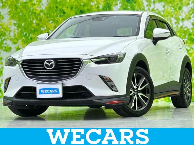 ޥĥ ãءݣ أĥġ󥰡ݾڽ񡡽ӣĥʥ