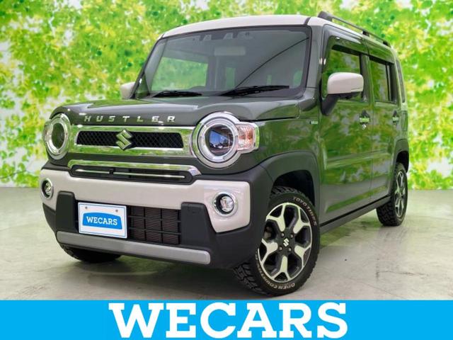  ϥ顼 ʥ룲ܡݾڽ񡡽