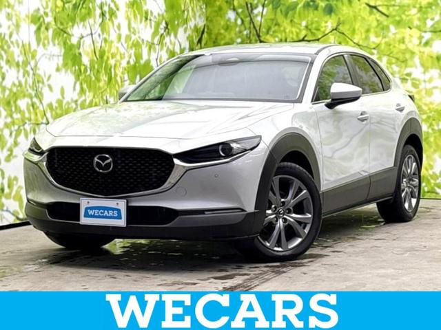 ףţãңӡʥˤ񣲣ŹŸ ȤԹ塢ξĺʤ礬ޤŹˤ礻 1