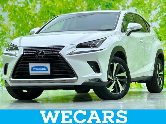 쥯 Σ ΣأС̡ݾڽ񡡽ӣĥʥ