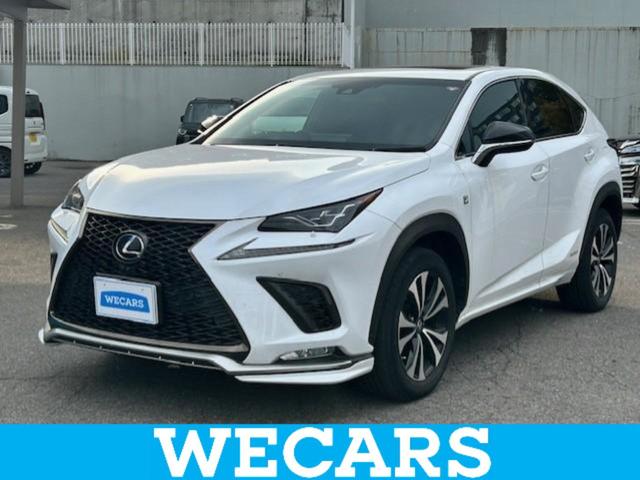 쥯 Σ Σأ衡ƥݡġ롼աݾڽ